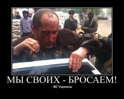 Прикрепленное изображение: I1-RRN22AEY.jpg